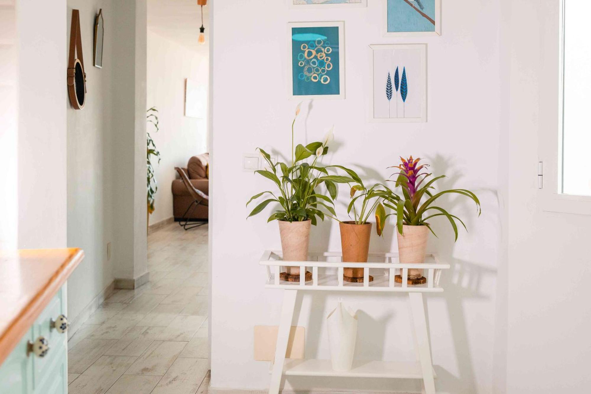Apartament Atico Deluxe En El Centro By Lets Malaga Zewnętrze zdjęcie