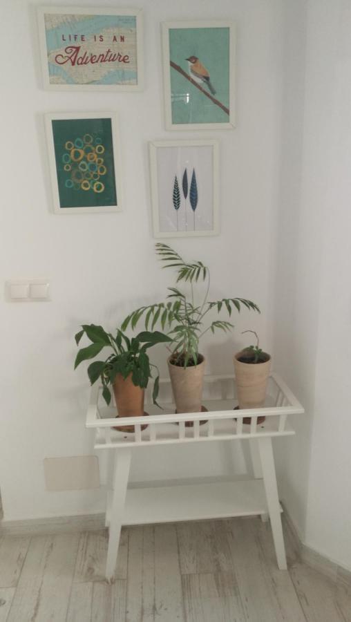 Apartament Atico Deluxe En El Centro By Lets Malaga Zewnętrze zdjęcie